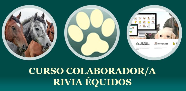 Curso online colaborador RIVIA &Eacute;QUIDOS