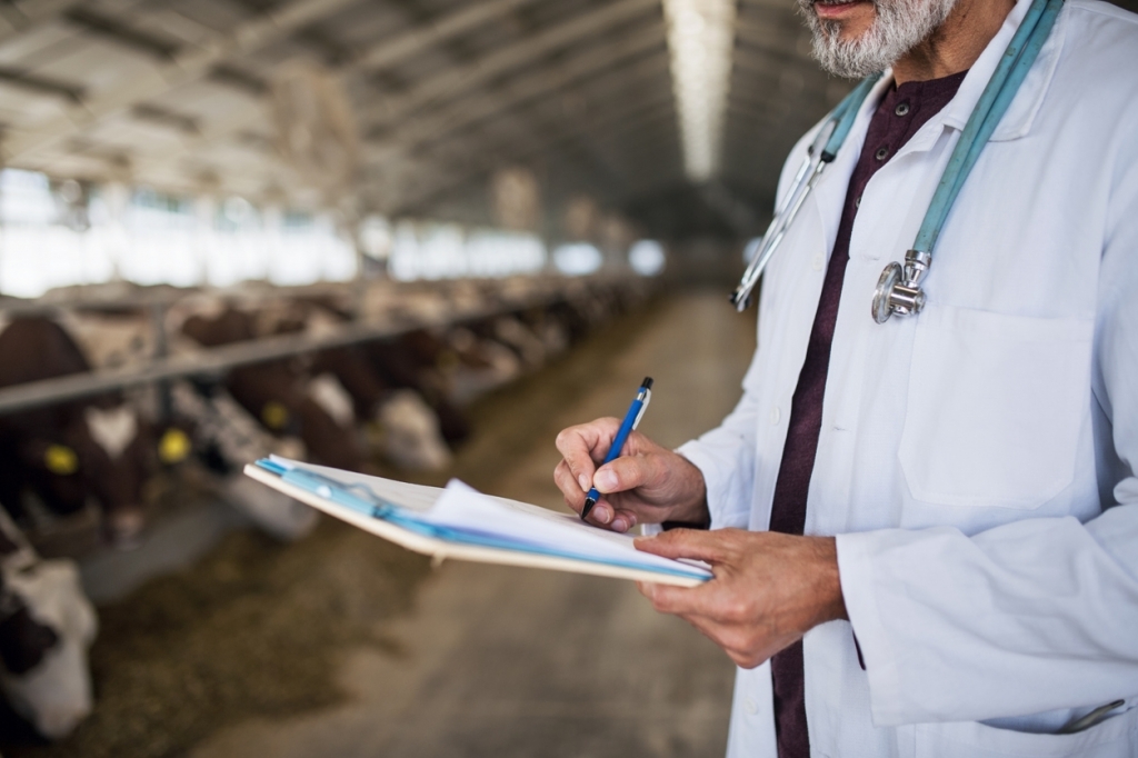 La veterinaria no pide privilegios, pide una regulación útil para la salud pública