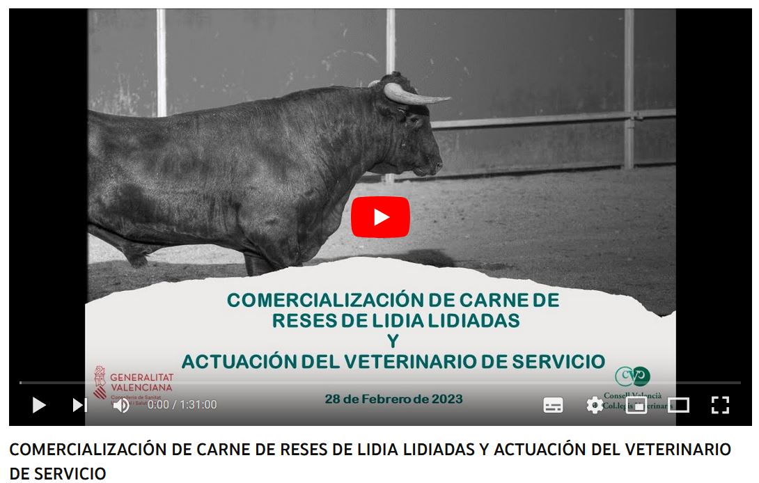 Vídeo Charla Comercialización de carne de reses de lidia lidiadas y actuación del veterinario de servicio. 