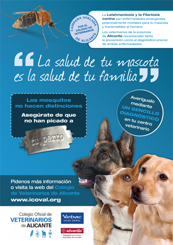 La leishmaniosis, m&aacute;s vale prevenir&hellip;
